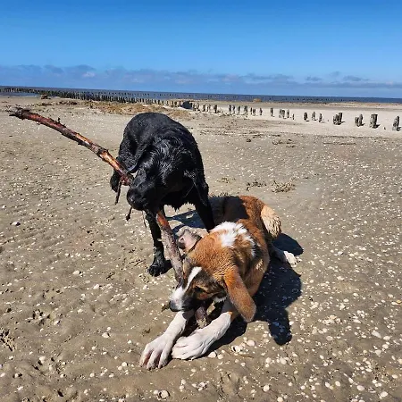 Hol Di! Zwischen Spo Und Westerhever