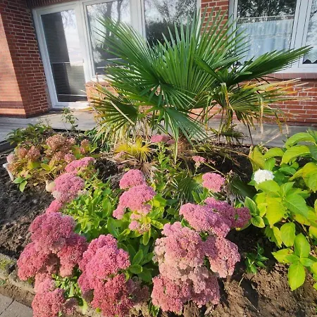 Hol Di! Zwischen Spo Und Westerhever